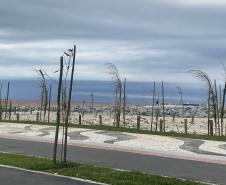 Foto de árvores plantadas na orla