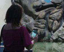 quário de Paranaguá é mais um ponto turístico para os passageiros de cruzeiros que desembarcam no litoral paranaense. O local conta com 507 animais de 93 espécies diferentes