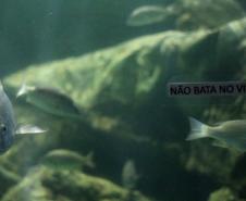 quário de Paranaguá é mais um ponto turístico para os passageiros de cruzeiros que desembarcam no litoral paranaense. O local conta com 507 animais de 93 espécies diferentes