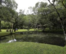 Foto de lago no Parque de Campinhos