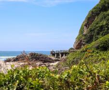 Foto de paisagem da Ilha do Mel