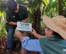 Paraná deve alcançar 10 milhões de mudas distribuídas no primeiro semestre deste ano