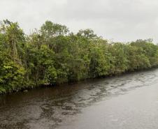 A Estação Ecológica Rio das Pombas terá quase 800 hectares e vai ajudar na preservação do ecossistema do Litoral do Paraná