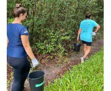 Foto de voluntários durante limpeza