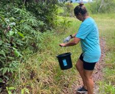 Foto de voluntários durante limpeza