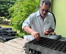 Viveiro de Morretes ajudou a expandir educação ambiental durante o Verão Maior Paraná