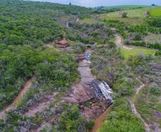 Parques do Paraná têm flora rica e cores exuberantes