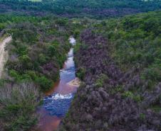 Parques do Paraná têm flora rica e cores exuberantes