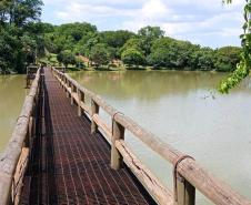 Parques do Paraná têm flora rica e cores exuberantes