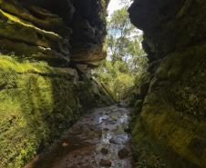 Foto de passagem em parque estadual