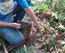 Foto de voluntários plantando mudas