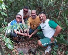 Foto de voluntários plantando mudas