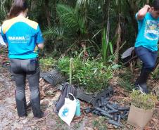 Foto de voluntários plantando mudas