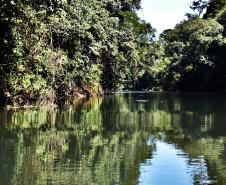 Rio em parque estadual