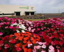 Foto da fábrica atrás de canteiro de flores vermelhas