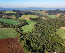 foto aérea de propriedades agrícola ao lado de árvores