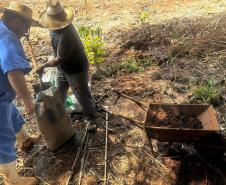 AGENTES DO IAT TRABALHANDO NO SOLO