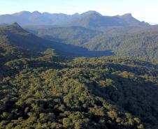 Visão aérea da mata atlântica paranaense