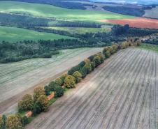 foto aérea de propriedades agrícola ao lado de árvores