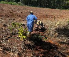 Semana da Água: IAT promove ações de conservação e conscientização ambiental