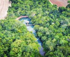 vista paradisíaca aérea da rppn