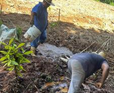 Semana da Água: IAT promove ações de conservação e conscientização ambiental