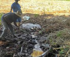 Semana da Água: IAT promove ações de conservação e conscientização ambiental