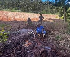 Semana da Água: IAT promove ações de conservação e conscientização ambiental