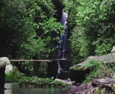 ponte corda da trilha da rppn