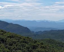 Vista aérea da vastidão verde da rppn