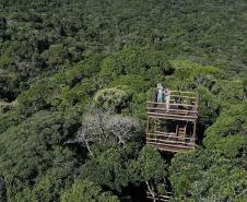 Foto aérea da vastidão verde da RPPN