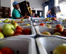 Foto de funcionário abastecendo banco de alimentos