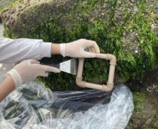 Foto de técnicos colhendo amostras de fauna incrustante