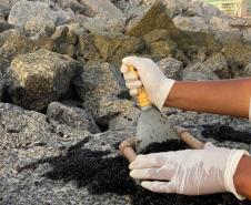 Foto de técnicos colhendo amostras de fauna incrustante