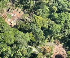 Técnicos do IAT atenderam a 130 denúncias de crimes ambientais durante o Verão Maior Paraná
