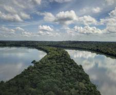 VEGETAÇÃO E RIO DO PARANÁ