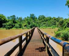 Parque Estadual São Camilo