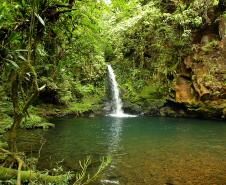 CACHOEIRA RODEADA DE VEGETAÇÃO DO PARANÁ