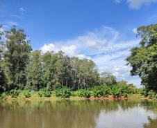Barragem paranaense
