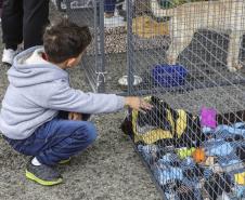 CRIANÇA ACARICIANDO CACHORRO PRESO DENTRO DE UMA JAULA