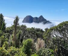 Foto aérea de montanha