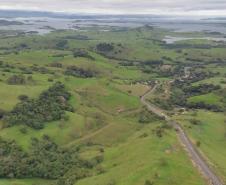 VISTA AÉREA DE ÁREA VERDE