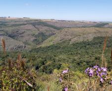 RPPN com flores no Paraná