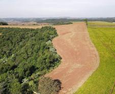 VISTA AÉREA DE VEGETAÇÃO