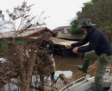 VOLUNTÁRIO EM AÇÃO