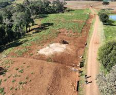 VISTA AÉREA DE VEGETAÇÃO