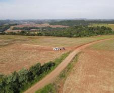 VISTA AÉREA DE VEGETAÇÃO