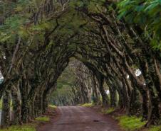 PARQUE ESTADUAL DO IAT