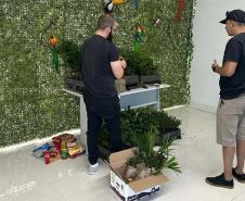 AGENTES DO IAT ORGANIZANDO DONATIVOS