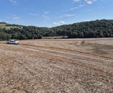 VEGETAÇÃO COM VISTA AÉREA